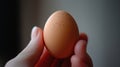 Close-up of a hand holding a fresh, dark brown egg with a smooth surface against a medium gray isolated background Royalty Free Stock Photo