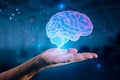 Close up of hand holding glowing human brain hologram on blurry background. Artificial intelligence, neurology, technology and Royalty Free Stock Photo