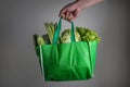 close up hand holding green grocery bag of mixed the organic green vegetables , healthy organic green food shopping and diet heal Royalty Free Stock Photo