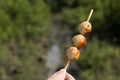 Close up hand holding meat ball