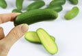 Close up of a hand holding mini avocado with a group of cocktail avocado on the back isolated on white. Specially cultivated