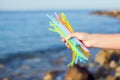 Close Up Of Hand Holding Plastic Straws Polluting Beach. Environmental pollution concept Royalty Free Stock Photo