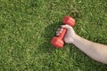 Close up on hand holding red dumbbell in grass, view from above Royalty Free Stock Photo