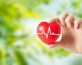 Close up of hand holding red heart with cardiogram Royalty Free Stock Photo