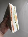 close up the hand holding sandwich Royalty Free Stock Photo