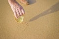 Close up on hand holding seashell on sandy background