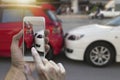 Close up hand holding smartphone and take photo at The scene of a car crash and accident, car accident for car insuranc claim Royalty Free Stock Photo