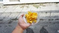 Close up hand holding spicy cassava chips