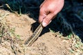 Hand holds Steppe ratsnake or Elaphe dione