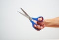 hand a human holding blue and red scissors on white background. Royalty Free Stock Photo