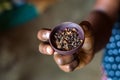 Hand holds herbal tea of Bael flowers Royalty Free Stock Photo