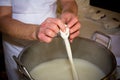 Close Up of the Hand Made Preparation of Italian Traditional Cheese called Mozzarella Royalty Free Stock Photo