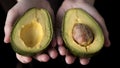 Close up hand open avocado fruit