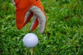 Close-up hand with orange glove and white golf ball on tee, on green grass, horizontally Royalty Free Stock Photo