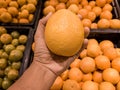Close up Hand and Oranges in market.mandarin oranges raw Fruit,Fresh mandarin oranges texture Royalty Free Stock Photo