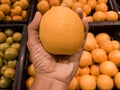 Close up Hand and Oranges in market.mandarin oranges raw Fruit,Fresh mandarin oranges texture Royalty Free Stock Photo