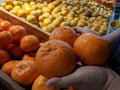 Close up Hand and Oranges in market.mandarin oranges raw Fruit,Fresh mandarin oranges texture Royalty Free Stock Photo