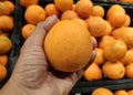 Close up Hand and Oranges in market.mandarin oranges raw Fruit,Fresh mandarin oranges texture Royalty Free Stock Photo