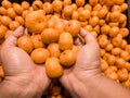 Close up Hand and Oranges in market.mandarin oranges raw Fruit,Fresh mandarin oranges texture Royalty Free Stock Photo