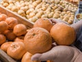 Close up Hand and Oranges in market.mandarin oranges raw Fruit,Fresh mandarin oranges texture Royalty Free Stock Photo