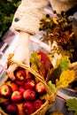 Close-up of a hand that picks up an apple from a basket. Autumn harvest concept Royalty Free Stock Photo