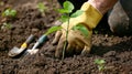 A close-up of a hand planting a sapling in fertile soil, with gardening tools