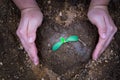 Close up hand planting tree into the heart shape soil. Earth day. World environment day. Ozone day Royalty Free Stock Photo