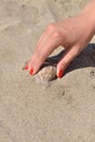 Close up on hand with red manicure finds seashell on sandy beach