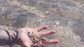 Close-up hand takes out of water handful of sand. Stock. Close-up man examines sand stones from bottom of clear water