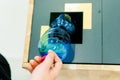 Close up hand throwing empty plastic water bottle into recycling bin, recycle rubbish Royalty Free Stock Photo