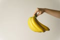 Close up on hand of unknown caucasian woman holding bananas in front of white wall - healthy organic food fresh fruit concept copy Royalty Free Stock Photo