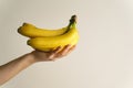 Close up on hand of unknown caucasian woman holding bananas in front of white wall - healthy organic food fresh fruit concept copy Royalty Free Stock Photo