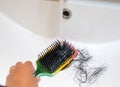 Close-up a hand washing hairbush with Pile of hair loss in bathroom after wash hair. Royalty Free Stock Photo