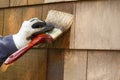 Close-up of hand wearing protective work gloves with brush paintbrush applying stain to cedar wood shingles exterior siding. Home