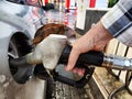 Close up of hand of woman holding gas gun while refueling car with gasoline. Filling fuel into tank of auto at gas Royalty Free Stock Photo