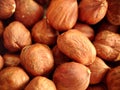 Close-up of a handful of hazelnuts peeled from the shell