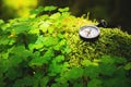 Close up handmade wooden compass, tree shadows on green nature grass ground. holiday adventure in forest. Compass
