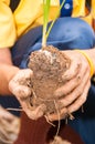 Close Up hands with afforest seedling