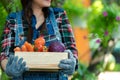 Close up hands. Asian happy women farmer holding a basket of vegetables organic