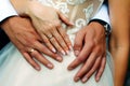 Close-up hands of bride and groom with wedding rings, newlyweds embracing. Concept of love, wedding and family Royalty Free Stock Photo