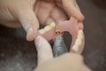 Close up of hands dental technician make denture prothesis in de