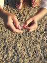 Close-up of the hands of a fisherman who impales worms on the hook of a fishing rod on a wooden pier