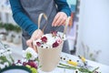 Close-up hands of florist with flowers. Florist holding blooming bouquet of pink tulips on a linen background. Flowershop concept. Royalty Free Stock Photo