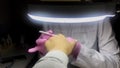 close up of hands get professional manicure in beauty salon. Master wearing pink rubber gloves filling nails