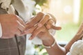 Close up hands of groom holding hands bride and putting wedding ring on finger fiancee Royalty Free Stock Photo