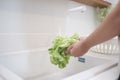 Close up hands of healthy girl washing vegetable in the kitchen sink. Royalty Free Stock Photo