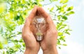 Close up of hands holding edison lamp or lightbulb Royalty Free Stock Photo