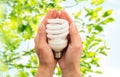 Close up of hands holding energy saving lightbulb Royalty Free Stock Photo