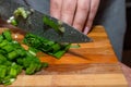 Close-up of hands holding green onions on a wooden cutting board. Cooking vegetables in the kitchen. Royalty Free Stock Photo