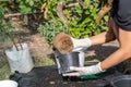 Close-up of hands holding green plant and flower pot above ground with gardening tools. Gardener woman planting flowers in the Royalty Free Stock Photo